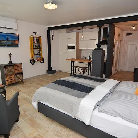 Mini Loft Apartment
